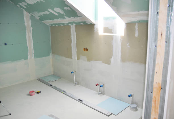 Best Mold Odor Removal Services  in La Croft, OH