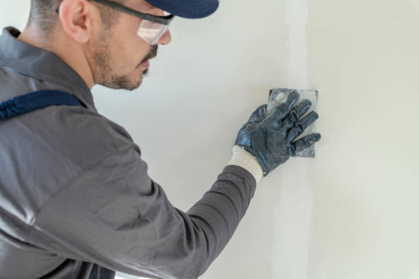 Best Black Mold Removal  in La Croft, OH