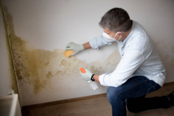 Best Residential Mold Inspection & Testing  in La Croft, OH