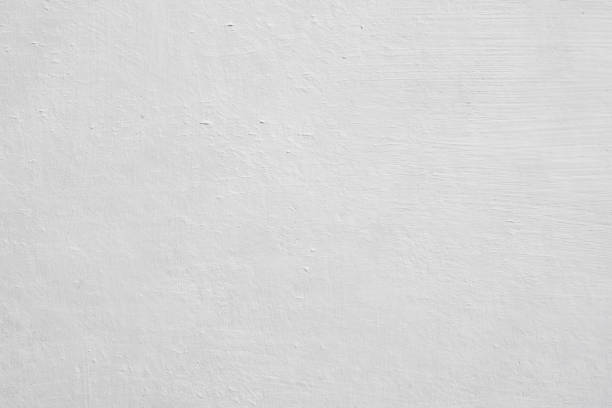 Mold Remediation for Rental Properties in La Croft, OH