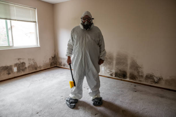 Best Asbestos and Lead Testing During Mold Inspection  in La Croft, OH