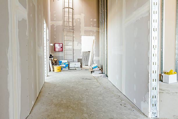 Best Emergency Mold Remediation  in La Croft, OH
